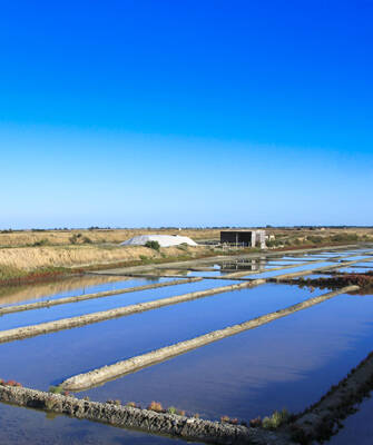 camping-vendee-plage-marais-salants-inspi-th